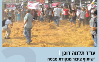 30.12.2015 עו"ד תלמה דוכן | "שיתוף ציבור מנקודת מבטה של חוקרת התנגדויות"