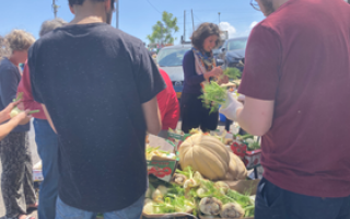 הצלת המזון לא דורשת מהמזון להשתנות, אלא מהאנשים הסובבים אותו  