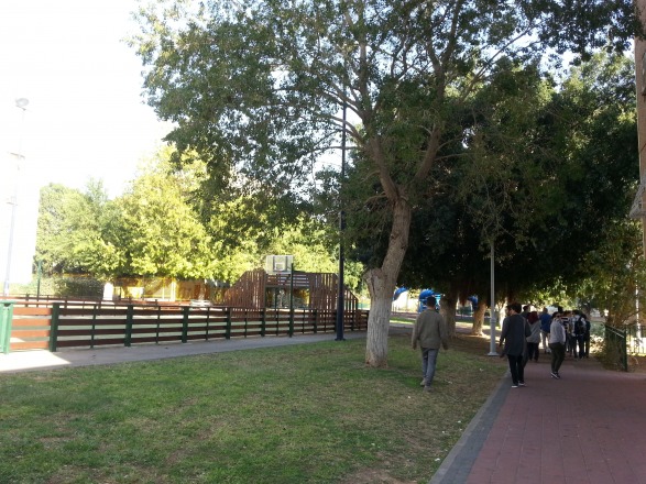 מה אפשר ללמוד מעכו על התחדשות עירונית? סיור של עיריית ירושלים בעקבות פרוייקט "מיקוד מאמץ"